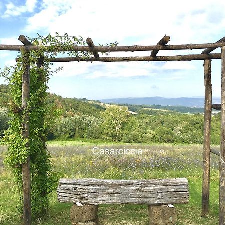Casarciccia Guest House Todi Exterior photo