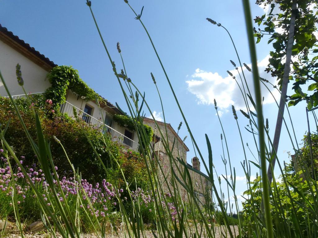 Casarciccia Guest House Todi Room photo