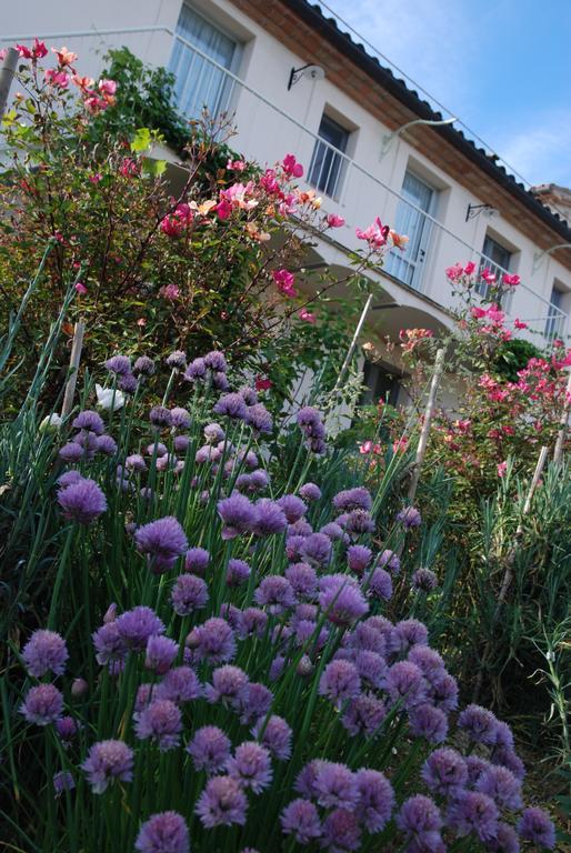 Casarciccia Guest House Todi Room photo