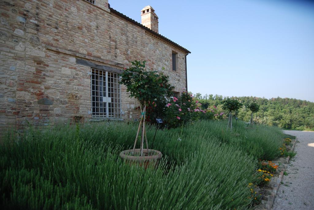 Casarciccia Guest House Todi Exterior photo